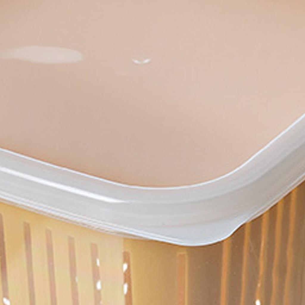 Kitchen Produce Vegetable Fruit Storage Container 2 Compartments Fridge Storage Organizer for Onion