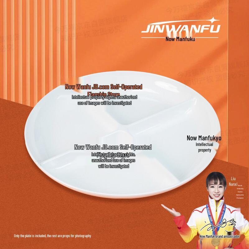 Melamine Divided Lunch Tray