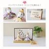 Osaka Choseido Snoopy Hina Compact with Nameplate and Wooden Tag Ceramic Mini Snoopy Hina Doll Doll, Mini, (Sent Separately), (Medium)