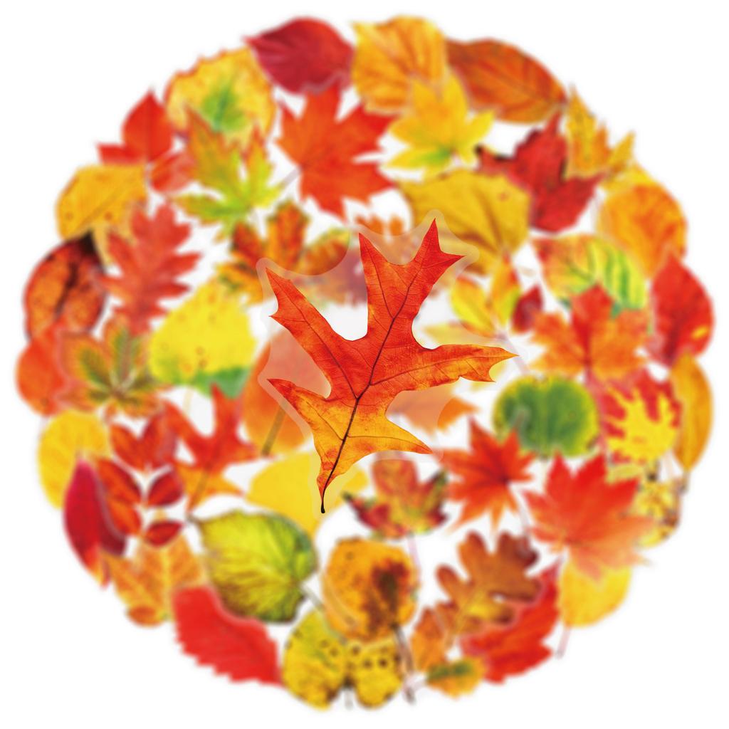 50PCS Plant Leafy Maple Leaf Stickers Transparent PET Waterproof DIY Stationary Notebook Personalized Decor Stickers