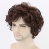 Men Short Brown Wig Halloween Cosplay Costume Synthetic Hair Fluffy Curly Wigs With Bangs High Temperature Fiber