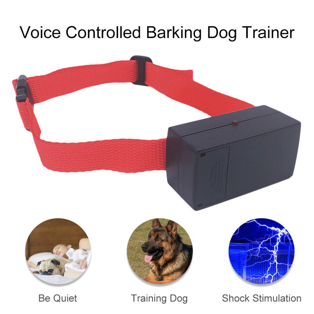 pet trainer bark collar