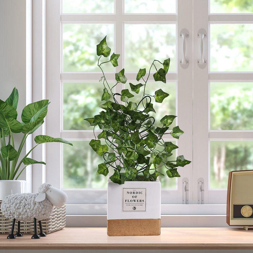 Vine Pillar Rustproof Flower Climbing Holder Planting Rack Indoor Trellis Stand Frame