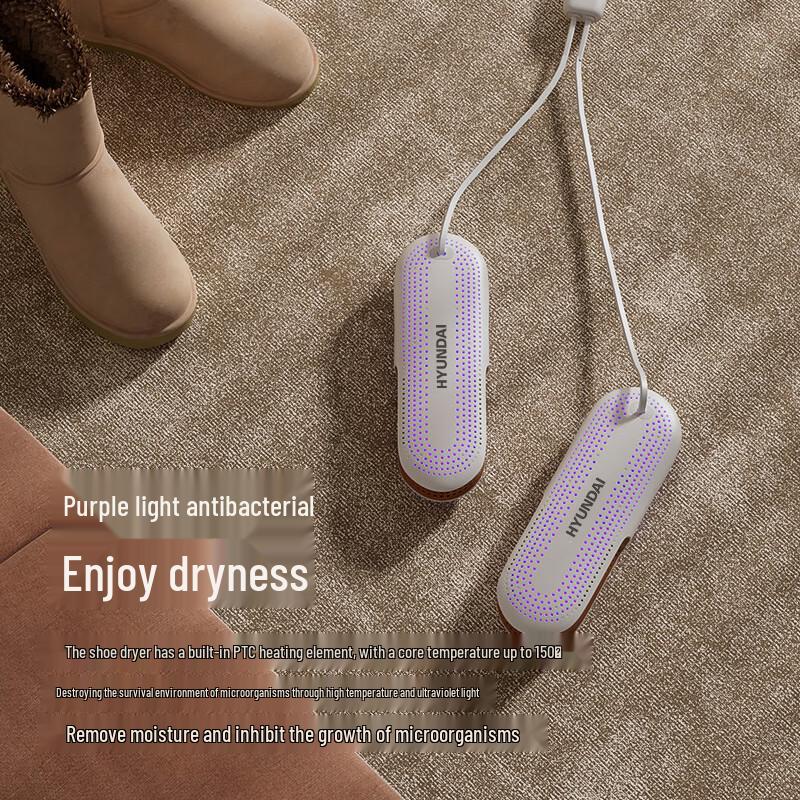 Ailan Huijia SW Shoe Dryer