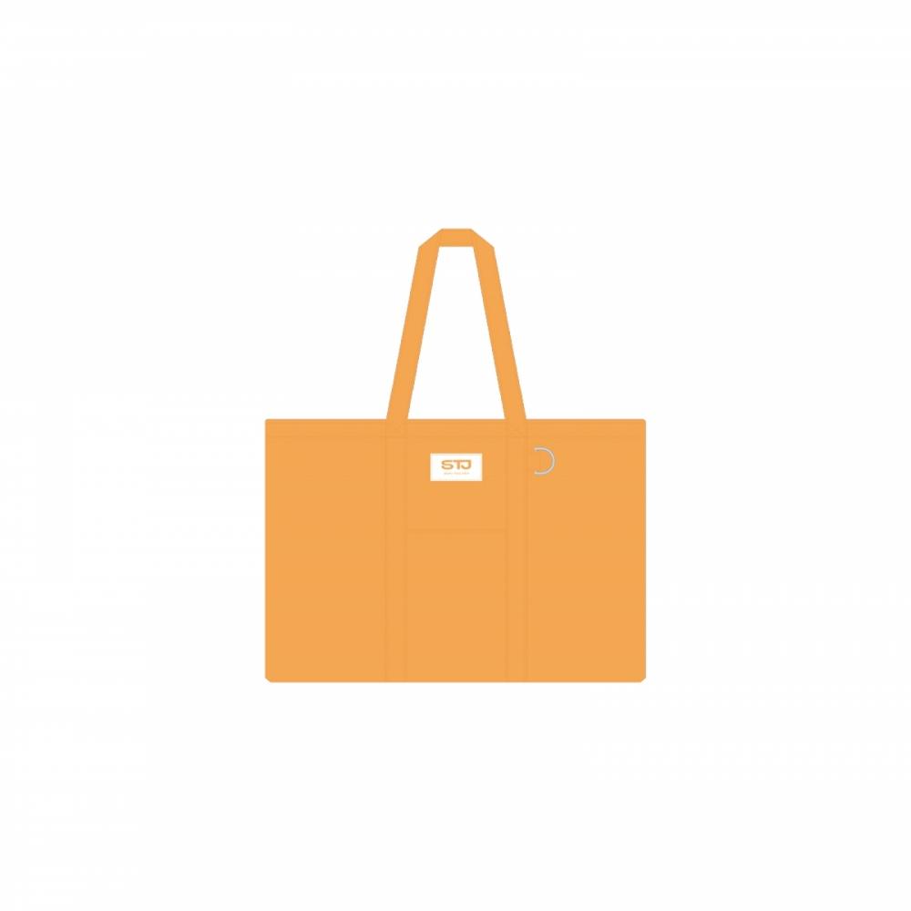 

Son Taejin 2025 Son Taejin National Tour Concert Official Md Eco Bag