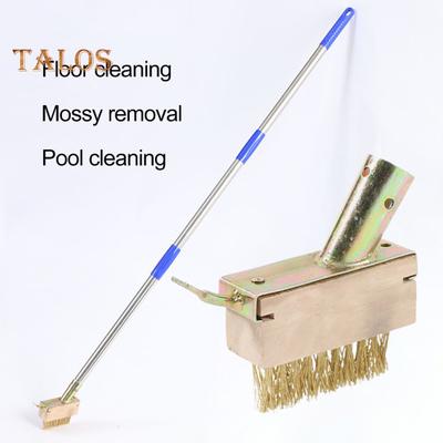Crevice Weeding Brush Head Brass Wire Bristle 2-in-1 Weed Moss Remover Tool Manual Crack Weeder for Block Paving Patio Stone Edging