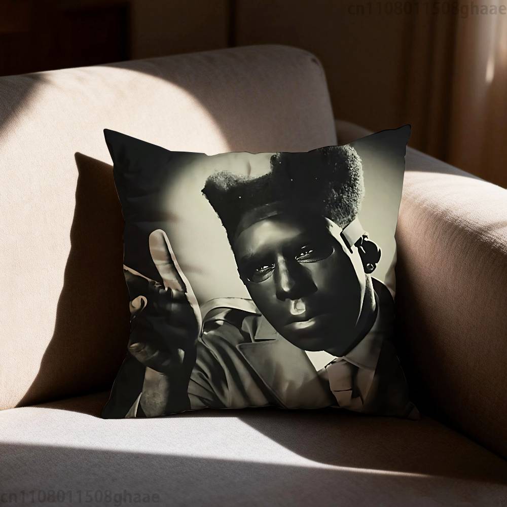 TTyler Funny CCreator Pillow Case Sofa Living Room Bedroom Headboard Backrest Cushion Square Cushion Nap Time