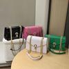New Small Square Vintage Crocodile Pattern Chain Crossbody Bags and Bags Women Shoulder Buckle Messenger Bag