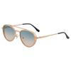 Non-polarized Classic Retro Double Bridge Round Sunglasses for Men Women  Driving Sunglasses