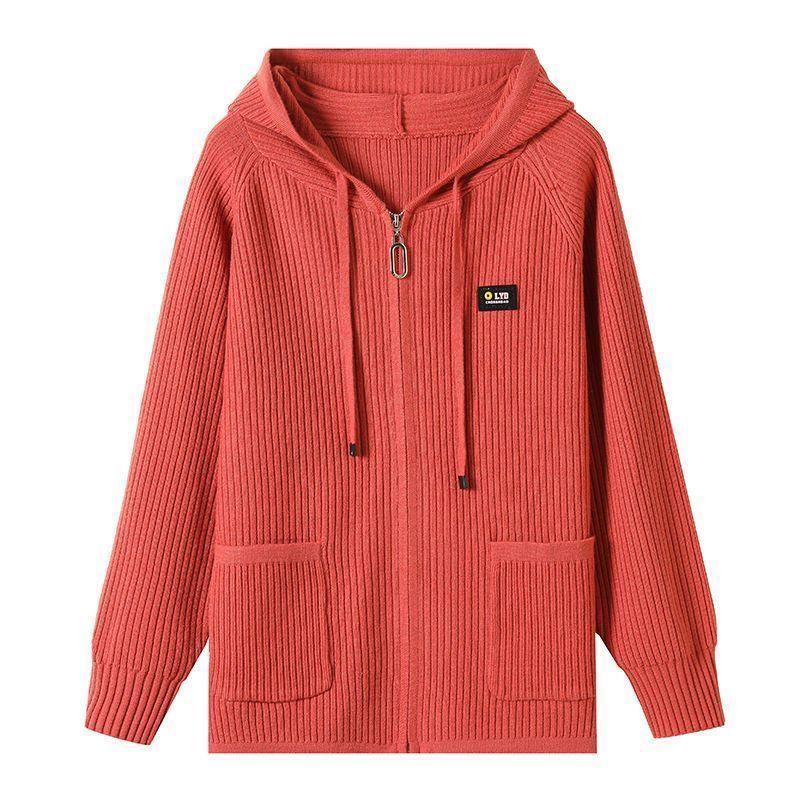 Spring and Autumn Hooded Knitted Cardigan Women's Zipper Hooded Sweater Jacket Top