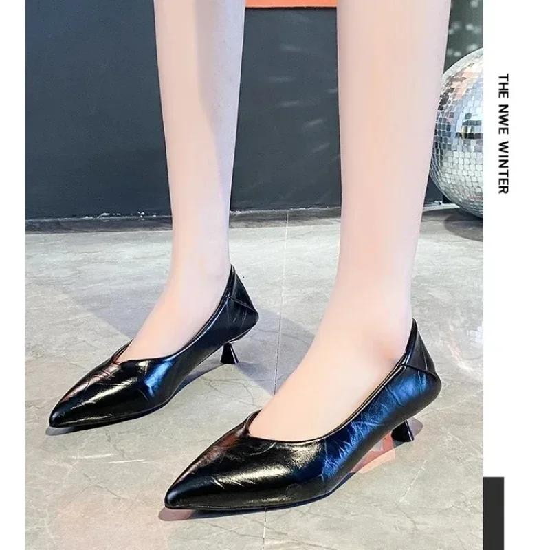 2024 New Women's Boat Shoes Pointed Toe Pumps Kitten Heel Dress Shoes Silver Office Work Shoes for Female Black Spring Autumn