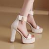 Fashion High Heel Sandals Women's Style Round Head Open Toe Metal Buckle Line with Waterproof Platform Non-slip Square Heels