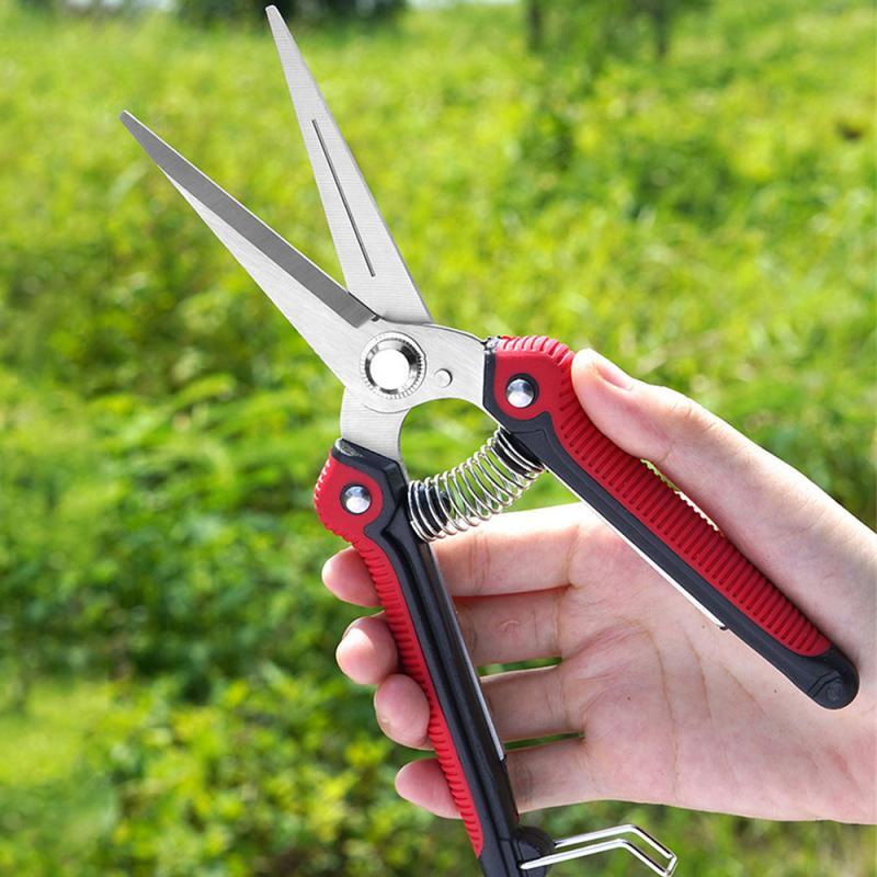 Picking Scissors Powerful Picking Fruit High Carbon Steel Tool Strong Scissors Pruning Branches And Leaves Gardening Scissors