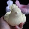 Flexible Silicone Mould For Crafting Lifelikes Bird Planters Suitable for Craft Supplies and Gardening Lovers Daily Use