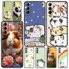 Tier Meerschweinchen Cavy Niedliche Handyhülle Für Samsung Galaxy S25 Edge S24 S23 S22 S21 Ultra S20 FE 5G S10 S10E S9 Plus TPU Hülle