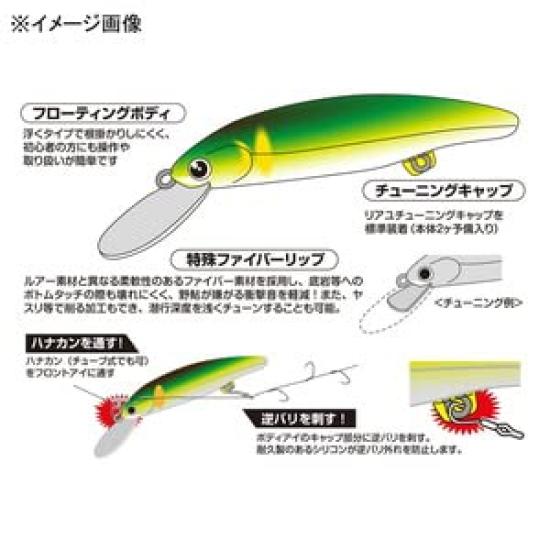 Katsuichi REAYU Riscade 100F Sparkling Ayu 100mm 13g Fish, /