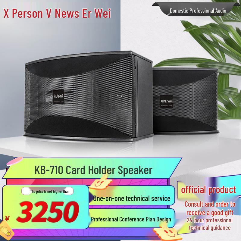 Xun Er Wei Professional Conference & Entertainment Audio-Visual Equipment (CN version)