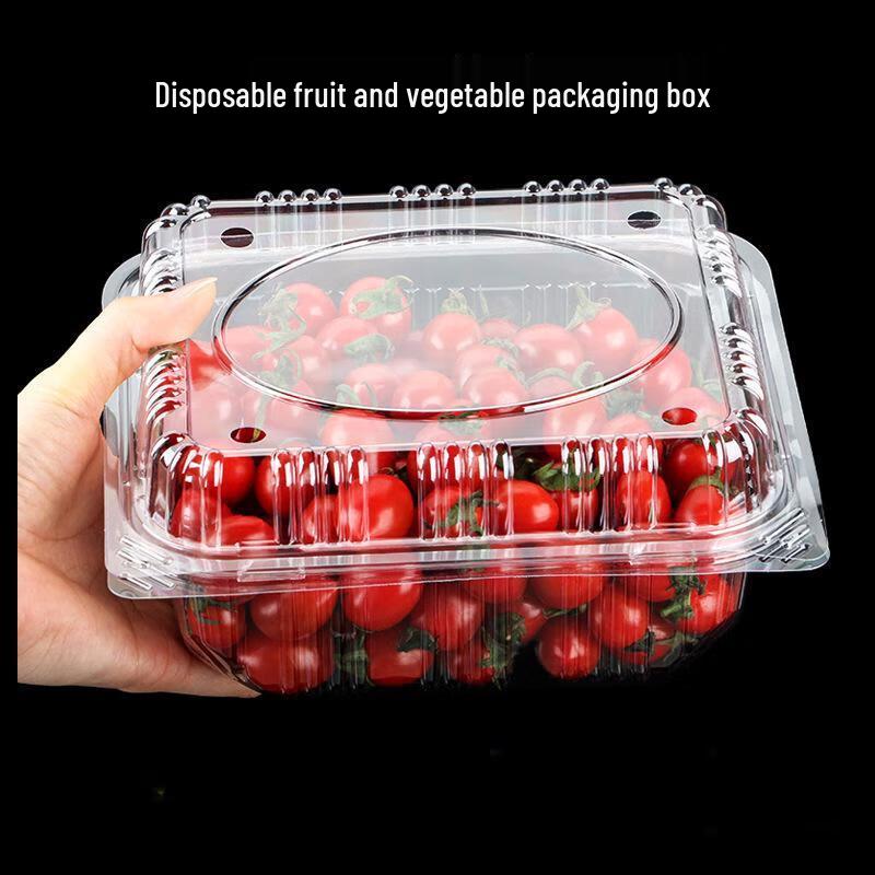 Disposable Transparent Plastic Food Containers with Lids
