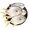 Hengxing Păstrăv de Aur Fructe de Mare