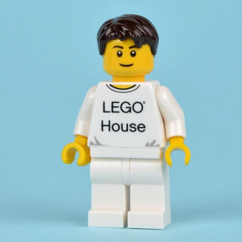 Overseas Limited LEGO 4000010 Denmark Billund LEGO LEGO House Architecture LEGO House 250 Pieces Lego [item]