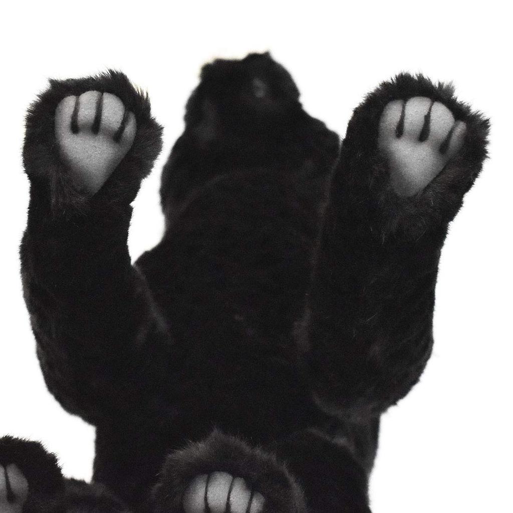 BH 7007 HANSA Black Panther 35