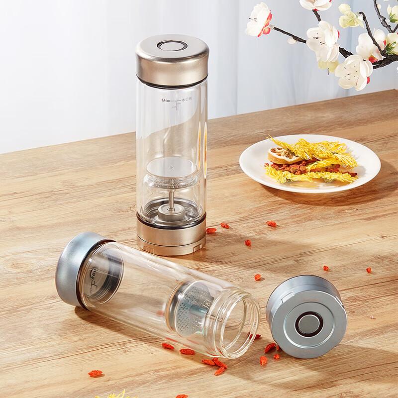 TAIC Double-Layer Tea Infuser Glass Bottle