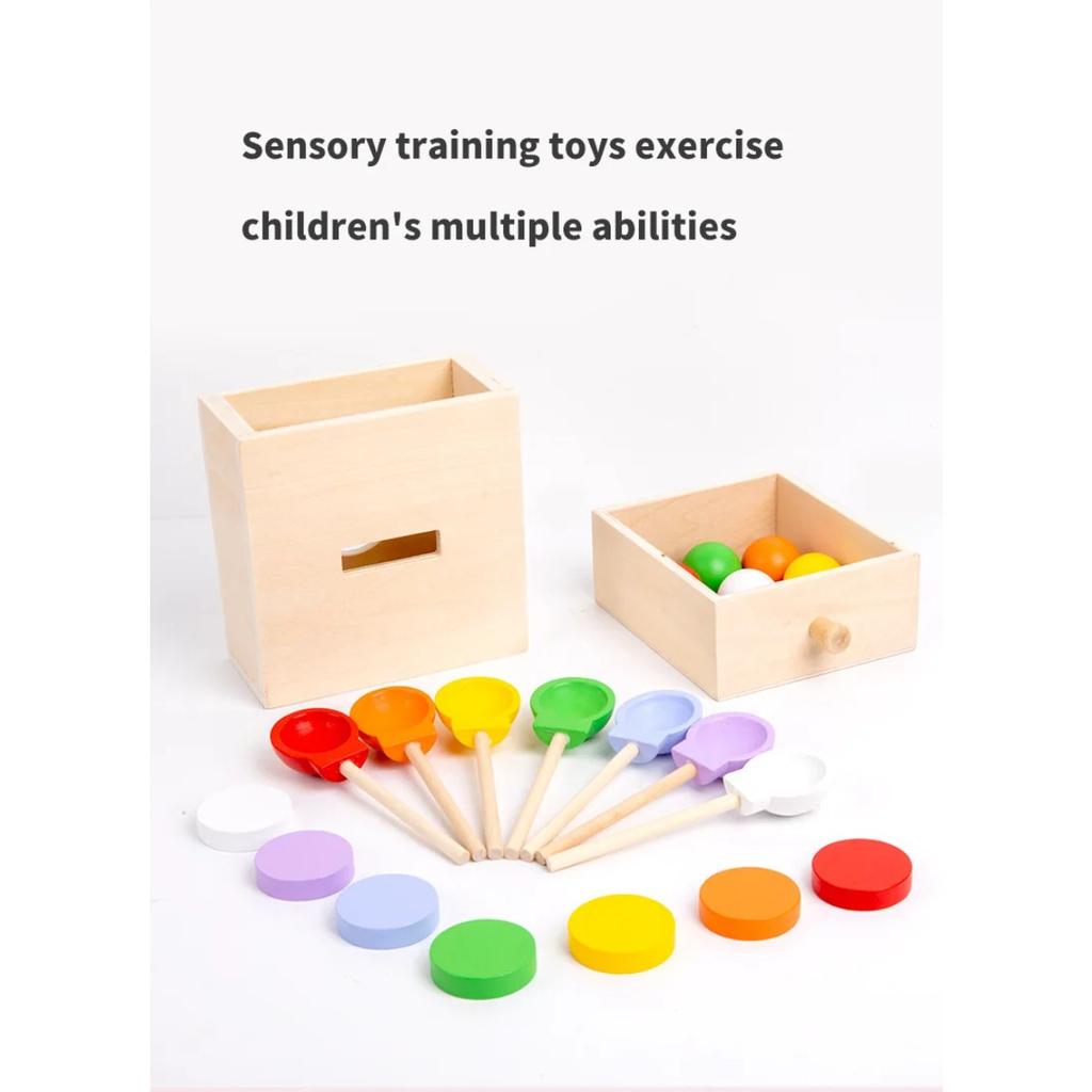 Baby Wooden Montessori Sensory Toys Permanence Objects Target Coin Box Color Ball Sorting Games Fine Motor Skill Education Toys