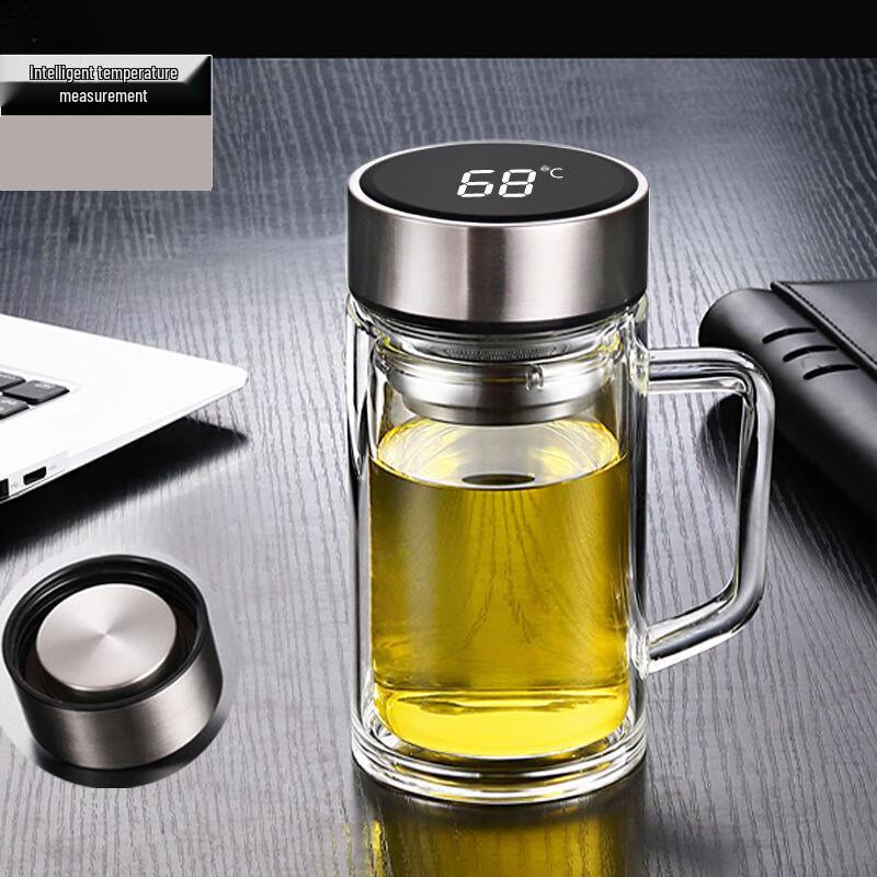 SX Smart Temperature Display Double-Layer Glass Cup