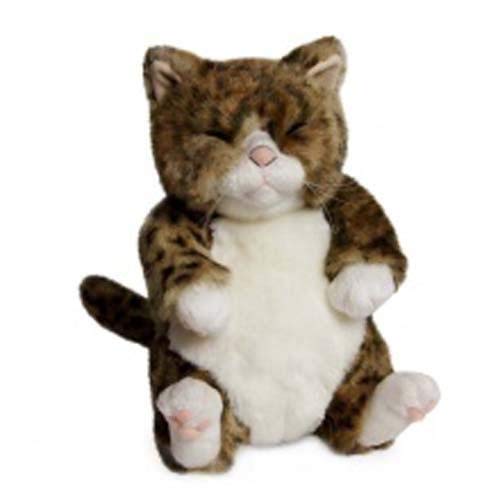

Chibi Pin Cuddly Cat Plush Toy