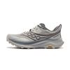 PEREGRINE Falcon 16 Trail Running Shoes Unisex Gray S102074-1002