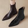 French pointed low heel brown elastic thin boots 2025 autumn and winter new thin short boots women's retro Chelsea boots