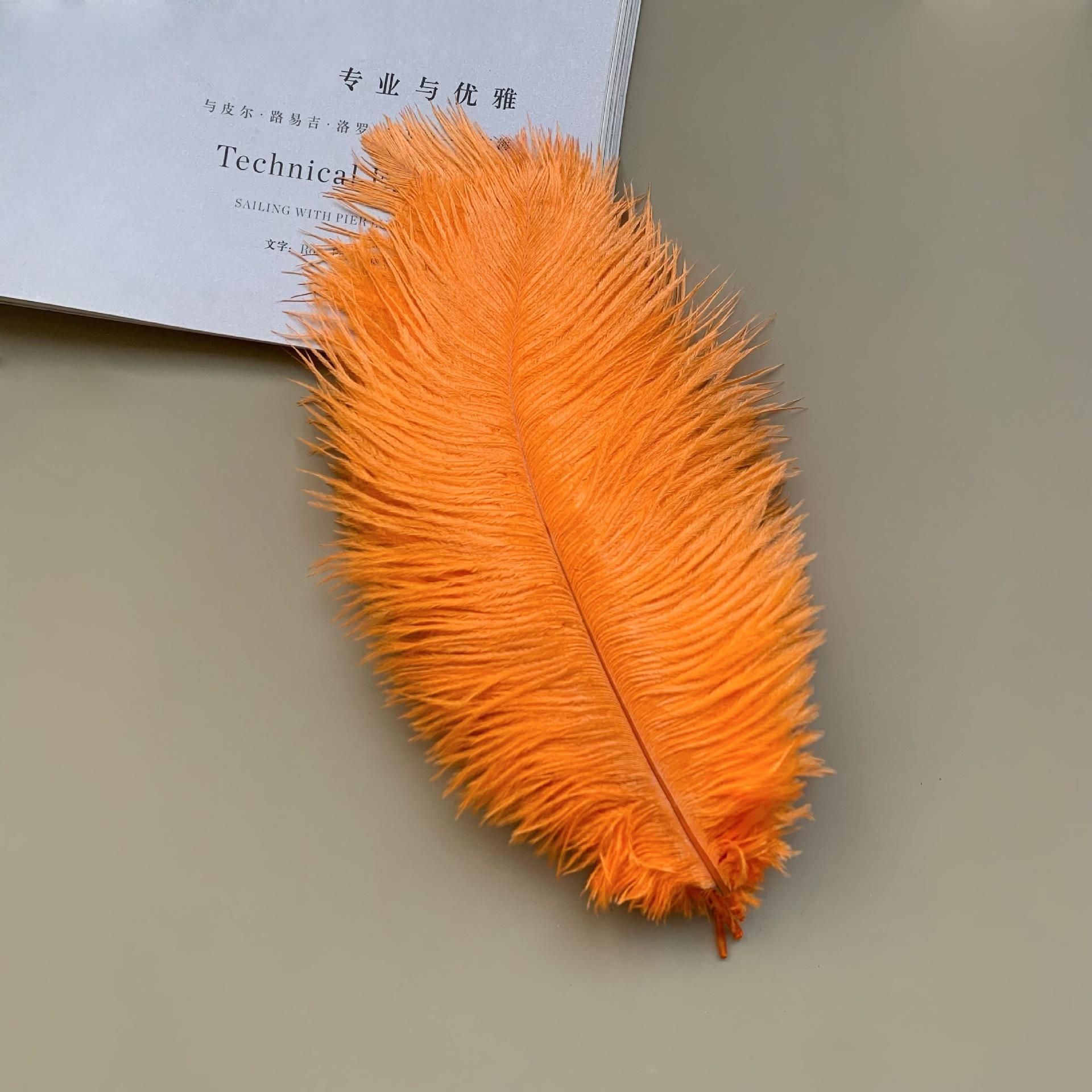 

10 Pcs 20-25cm Elegant Ostrich Feather Large Fluffy Feather for Wedding Party Home Room DIY Decorations 5pcs