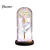 Birthday Rose Present Flower Gifts for Her Mom Wife Grandma Light Up Eternal Gift in A Dome Romantic Anniversary Valentine's Day Christmas