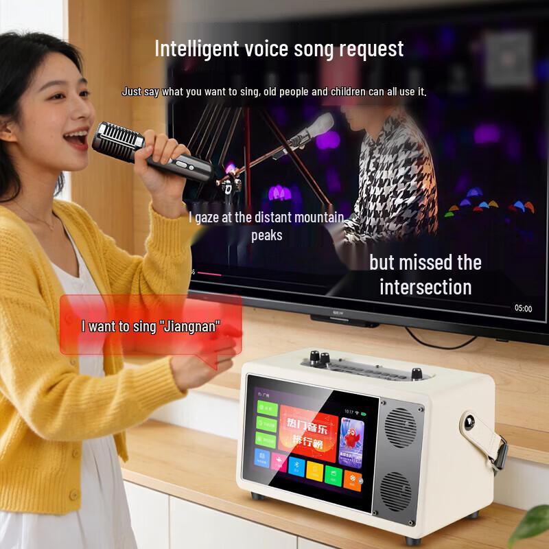 SAST Portable Home KTV Karaoke System CN plug (adapter included)