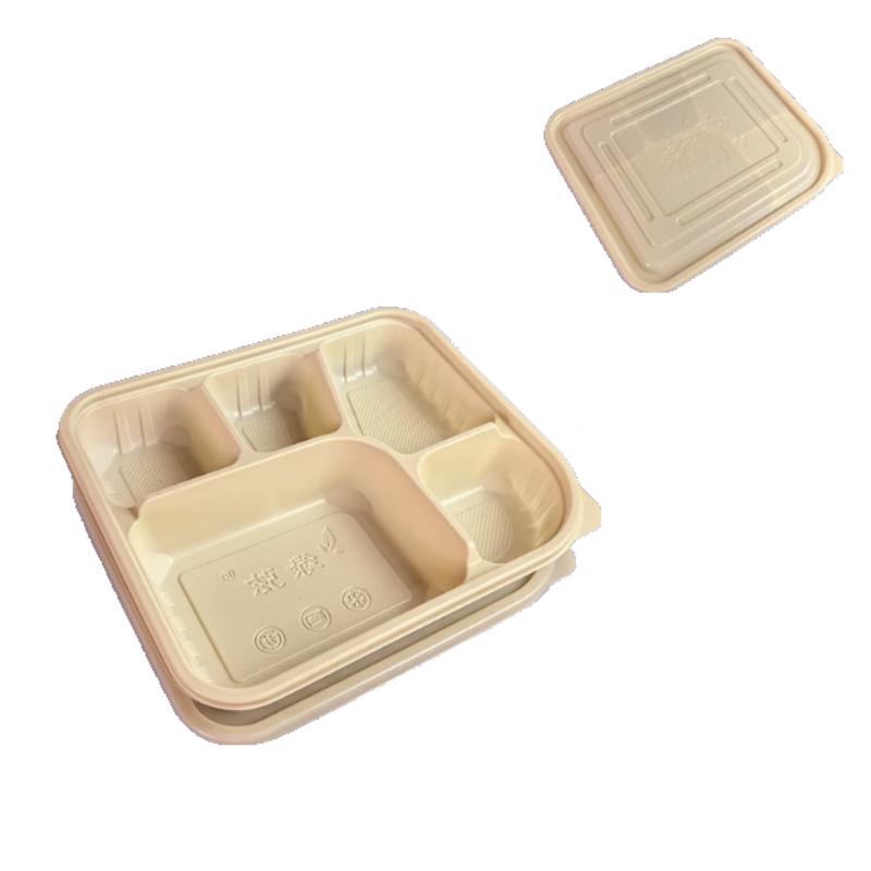 

Biodegradable 5-Compartment Takeaway Lunch Box