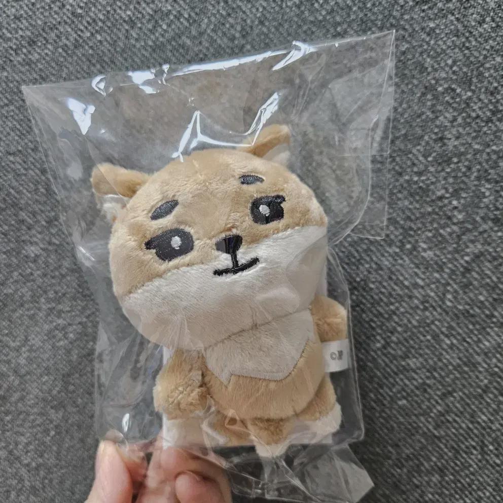 

Day6 Japan Baekcham Ke