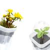 Self Watering Propagation Set with Clear Double Wall Design and Measured Reservoir for Consistent Moisture Supply