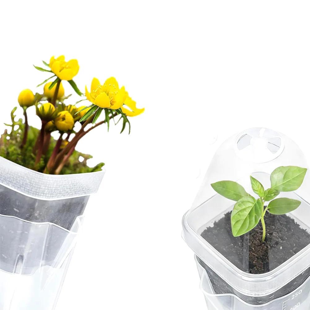 Self Watering Propagation Set with Clear Double Wall Design and Measured Reservoir for Consistent Moisture Supply