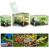 Transparent Acrylic Reptile Breeding Box 5 Size Structure Plate Insect Breathable Terrarium for Garden Cultivate Insect Breeding