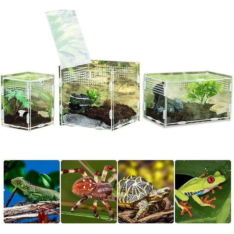 Transparent Acrylic Reptile Breeding Box 5 Size Structure Plate Insect Breathable Terrarium for Garden Cultivate Insect Breeding