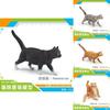 Pet Cat Model Pvc Decorative Animal Figurine For Kids Home Decor