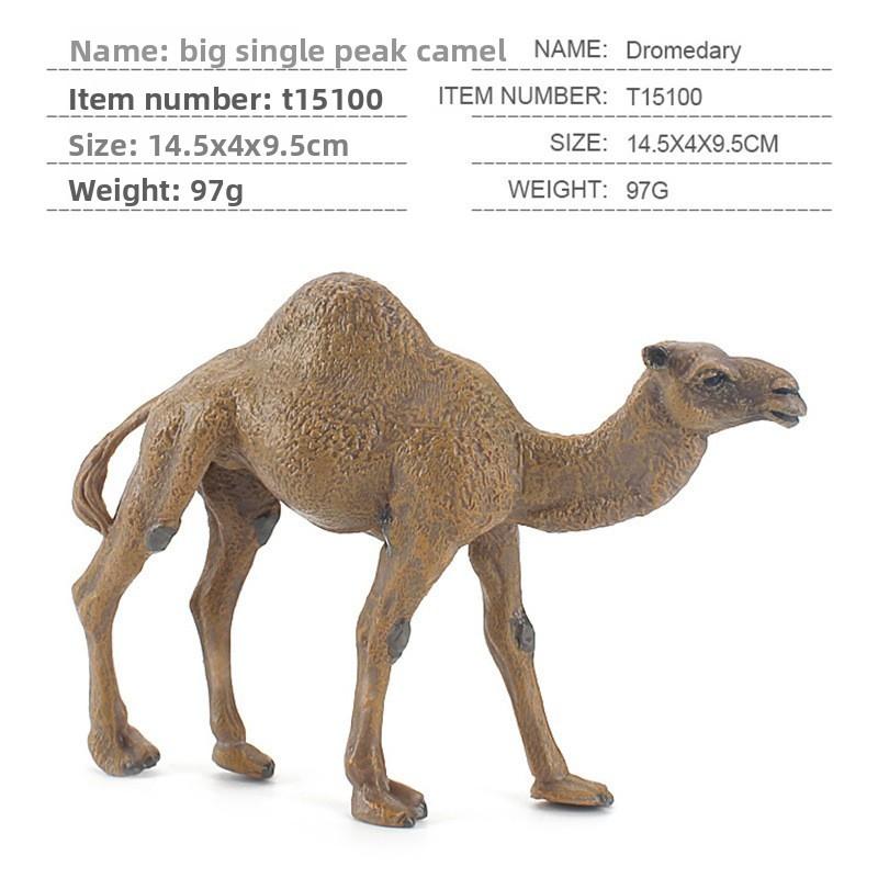 Wildlife Pvc Model Collection With Realistic Desert Camels For Classroom Decor