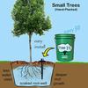 Tree I-V 6-Pk Original Base Root Feeder Watering System - Durable Self-Supported 5-Gal Reservoir with No-Hands Filling - Water