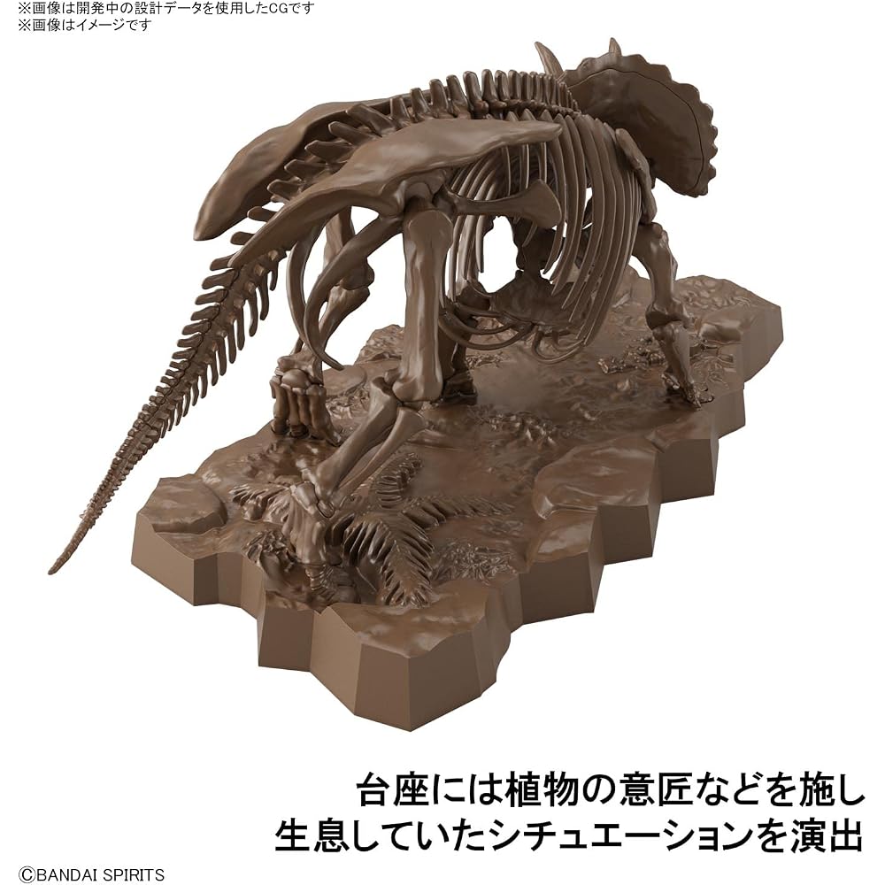 BANDAI SPIRITS (Bandai Spirits) Imaginary Skeleton (Imaginary Skeleton) Triceratops 1/32 scale pl...