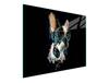 Decoração de casa – Posters e quadros