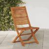 VidaXL Folding Garden Chairs Set of 4 Grey Solid Acacia Wood, Garden Chair, Outdoor Seat, Chair 367697