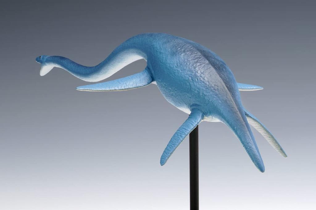 Wave Futabasaurus Ryu Total length 23cm Plastic model Molded color 1/35 approx. OG-031