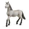 Purebred Spanish Foal Figurine, SCHLEICH 13924 Horse Club, Ages 3 and Up