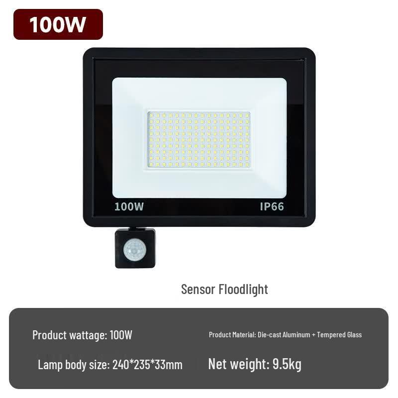 Lishi Sensor LED Outdoor Floodlight