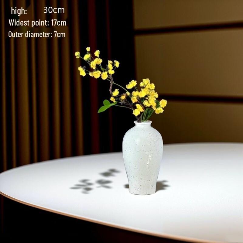 

Retro White Ceramic Star-Dotted Plum Vase Set (2-Pack)